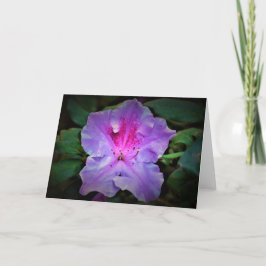 Azalea, cartão