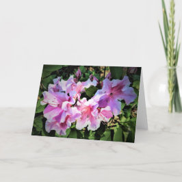 Azalea, cartão