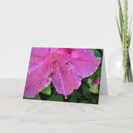 Azalea, cartão