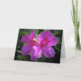 Azalea, cartão