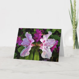 Azalea, cartão