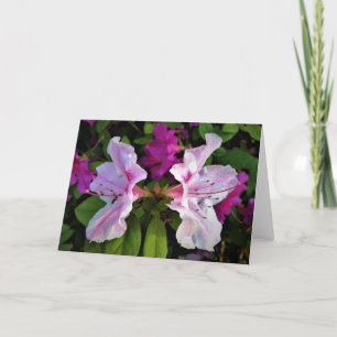 Azalea, cartão