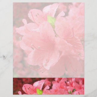 Azalea Field - Letterhead