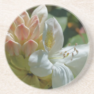 Azalea Porta copos Floral Branca