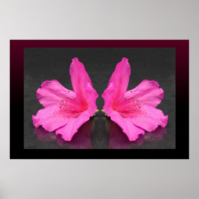 Azalea Poster espelhada - 36x24 - outros tamanhos (Frente)