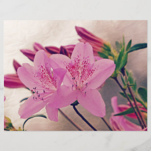 Azaleas