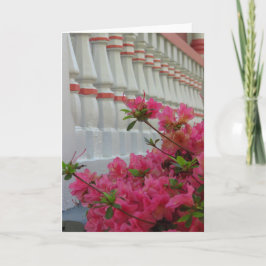 Azaleas cor-de-rosa - Cartão de Vinha de Martha