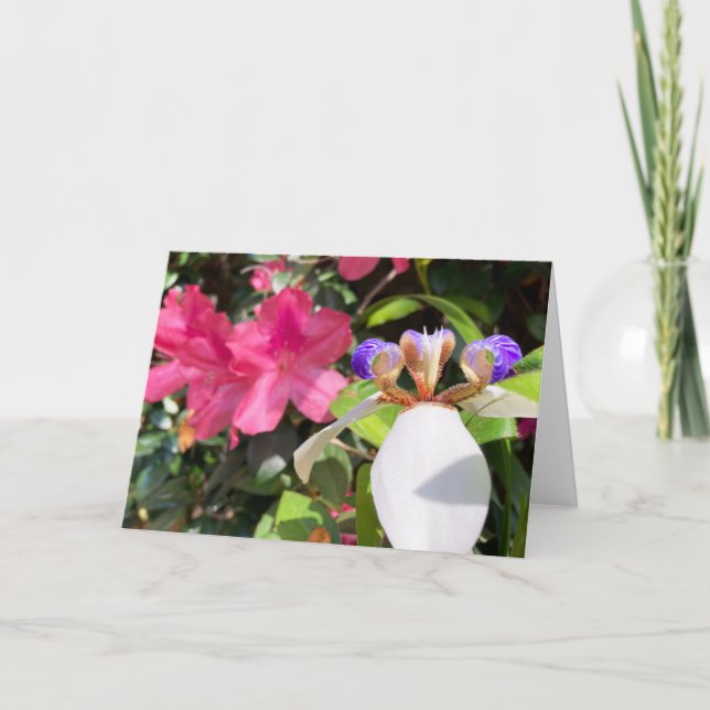 "Azaleas e Iris Andando." Cartão (Frente)