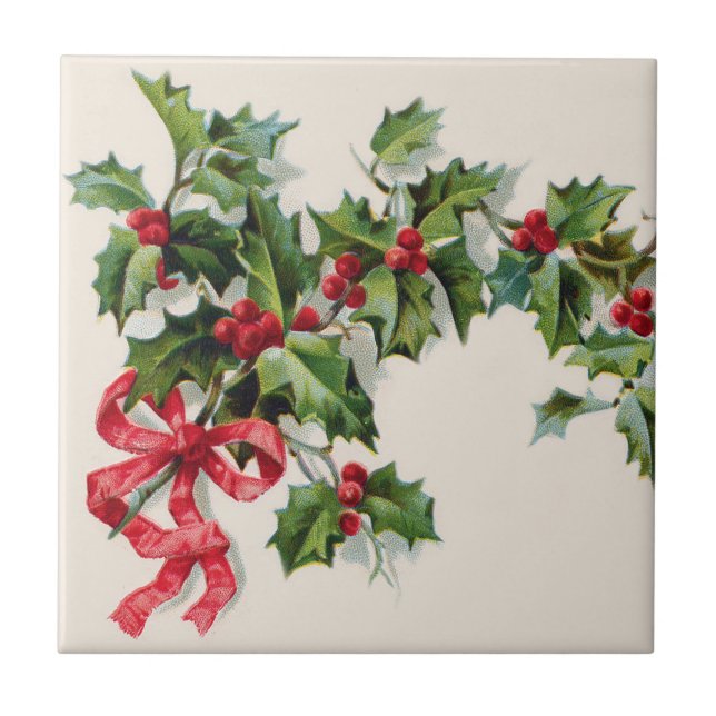 Azevinho Winterberry Fita Vermelha (Frente)