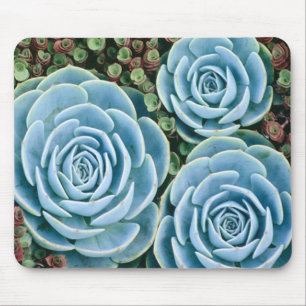 Azuis empoeirados Mousepad