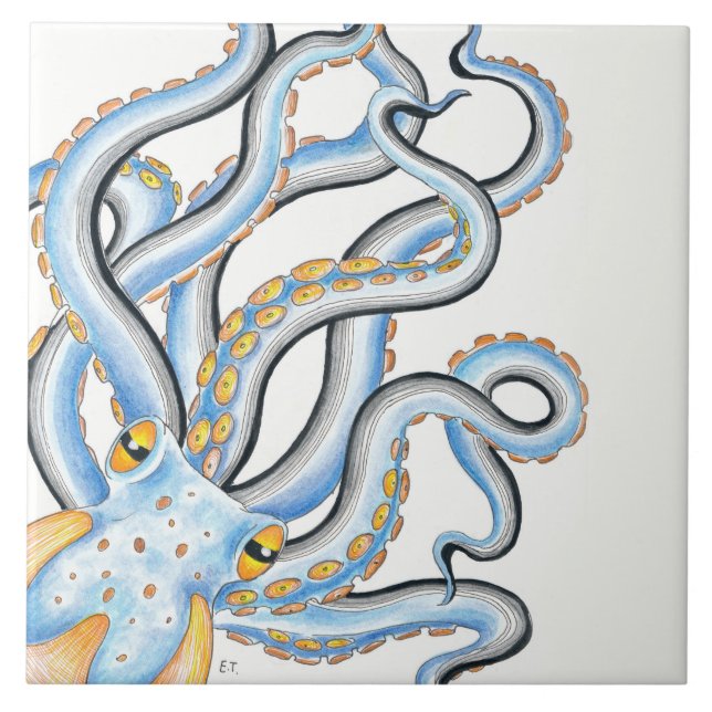 Azul Azul-Azul-Polvo Funso (Frente)