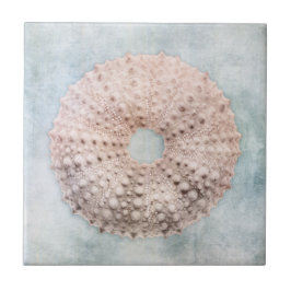 Azul Costeiro e Creme de Pêssego no Mar de Praia