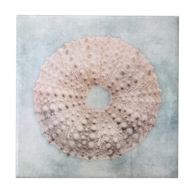 Azul Costeiro e Creme de Pêssego no Mar de Praia (Frente)