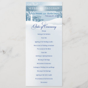 Azul de gelo nevado do programa do casamento no