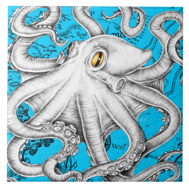 Azul de Mapa de Vintagem de Octopus Branco (Frente)