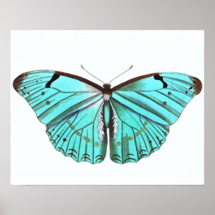 Azul de turquesa do poster da borboleta do vintage