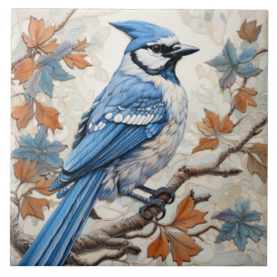 Azul Gaio, Plumagem Azul e Branco