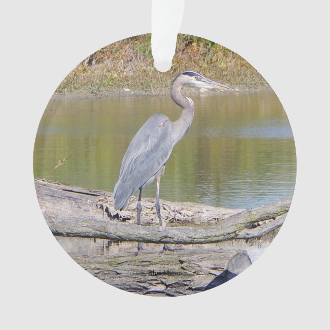 Azul Heron, ornamento de plástico de dupla face (Frente)