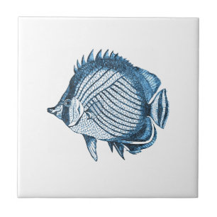 Azul litoral do mar do oceano náutico da praia do