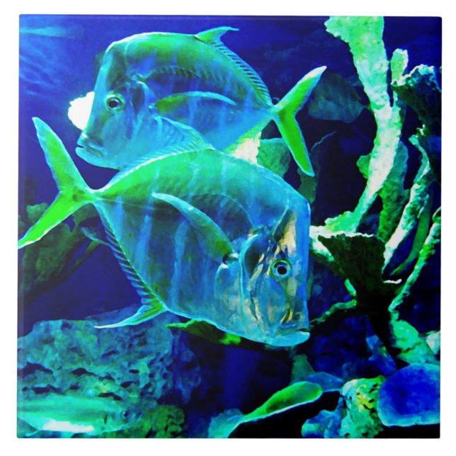 Azul Oceano (Frente)