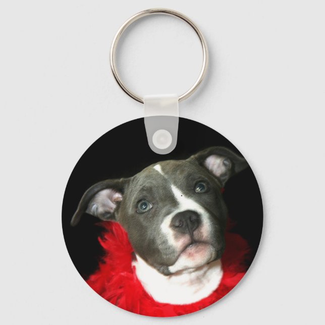 Azul Pitbull Chaveiro (Frente)