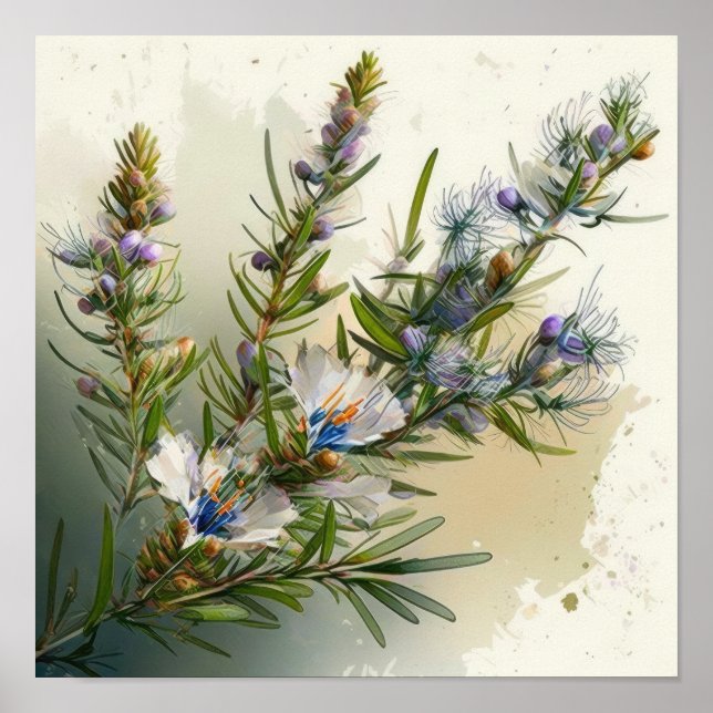 Azul Rosemary Flowers Art Impressão (Frente)