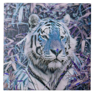 Azul Tigre