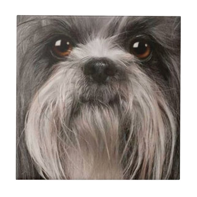 azulejo 2 do animal de estimação (Frente)