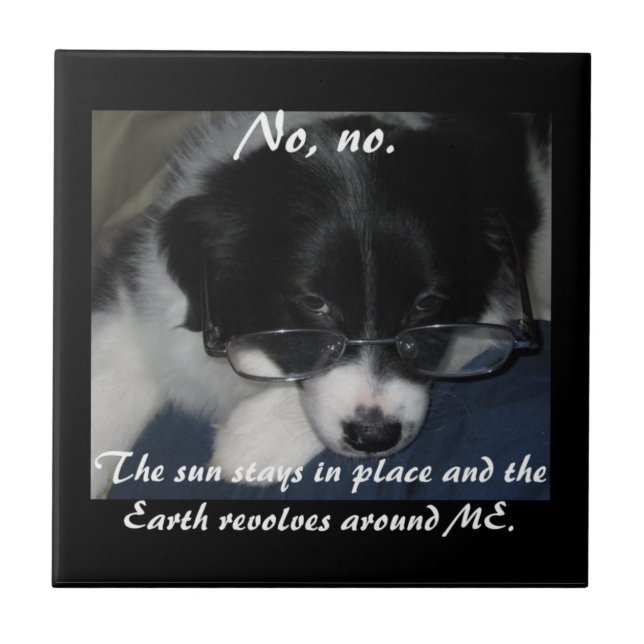 azulejo "A Terra Revolta-Me Em Volta" (Frente)