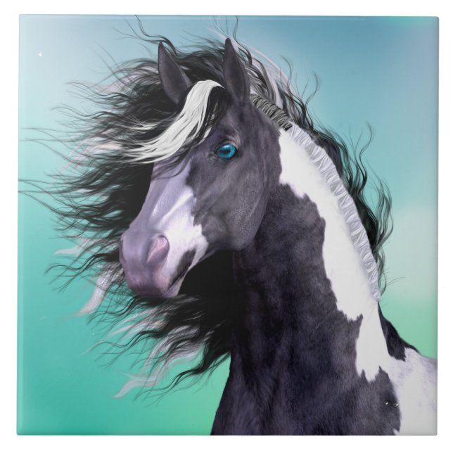 Azulejo aciganado do cavalo 6x6 de Vanner (Frente)