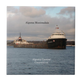 Azulejo Algoma MONMONTALIS