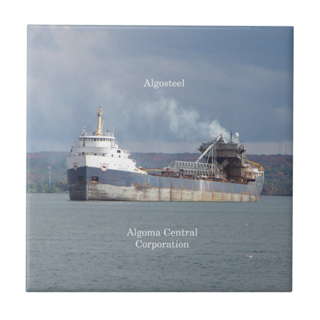 Azulejo AlgoSteel (Frente)