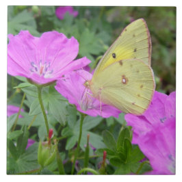 Azulejo amarelo da borboleta