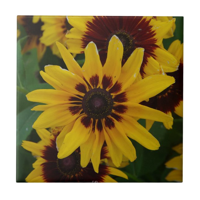 Azulejo Amarelo de Flores Marrons (Frente)