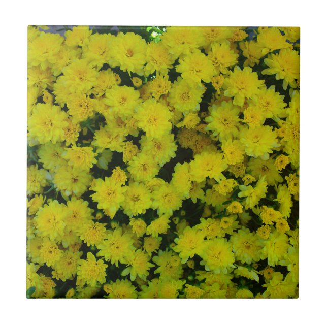 Azulejo Amarelo Margarita Daisy (Frente)