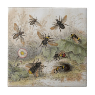 Azulejo antigo do impressão da litografia das