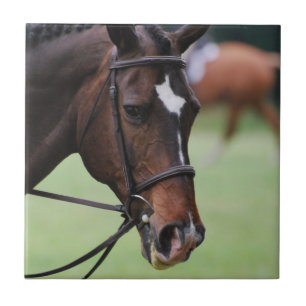 Azulejo árabe bonito do cavalo