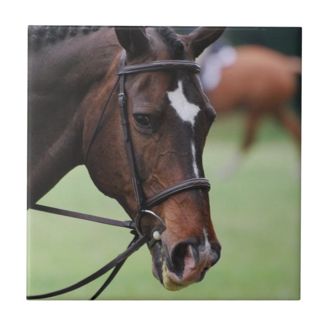 Azulejo árabe bonito do cavalo (Frente)