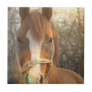 Azulejo árabe do cavalo da castanha