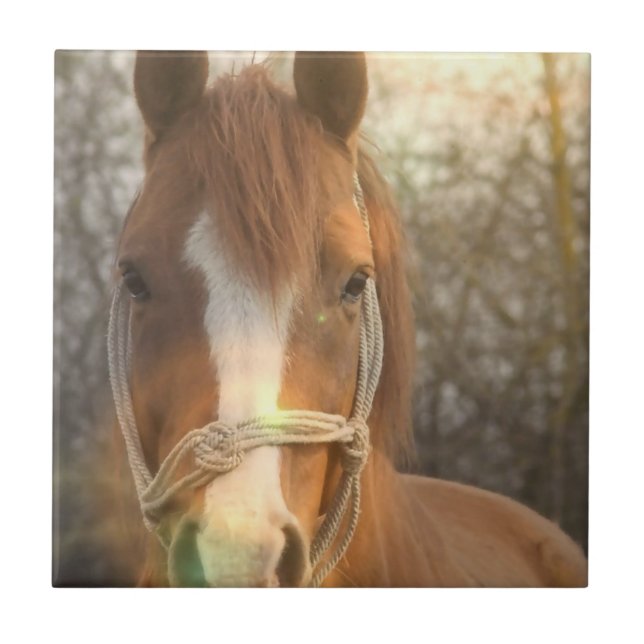 Azulejo árabe do cavalo da castanha (Frente)