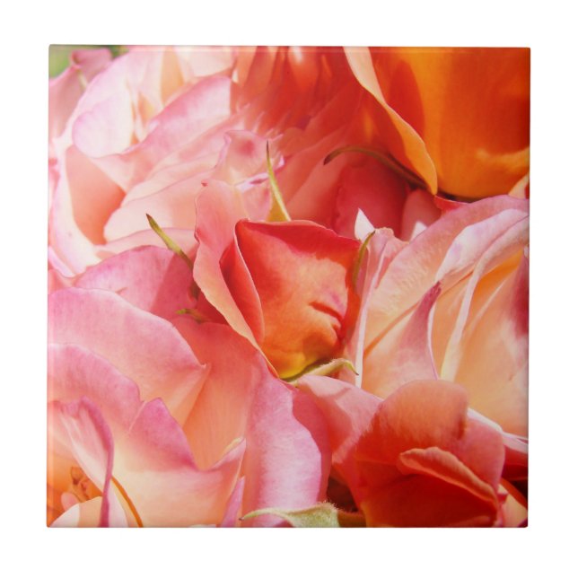 Azulejo arte decorativo Flores de Rosa Rosa (Frente)