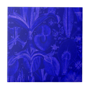 Azulejo Azul Colbalt