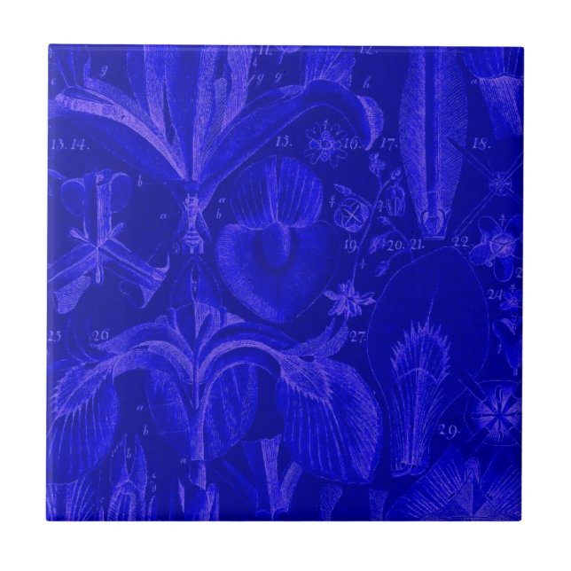 Azulejo Azul Colbalt (Frente)