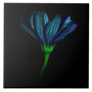 Azulejo azul da flor