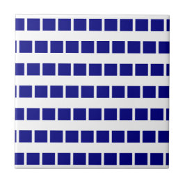 Azulejo Azul e Branco Listrado Xadrez