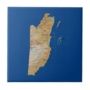 Azulejo Belize Map