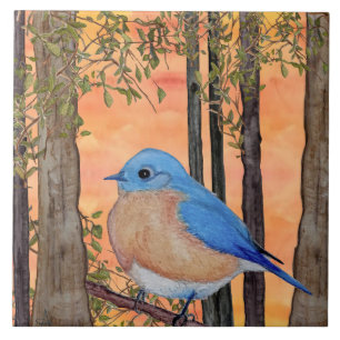 Azulejo Bluebird, Grande