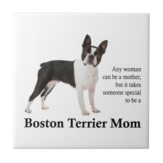 Azulejo Boston Terrier Mãe (Frente)