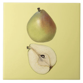 Azulejo Botânico Anjou Pear ~ Cozinha ~ Qualquer C