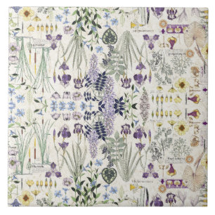 Azulejo botânico das flores de Nouveau da arte
